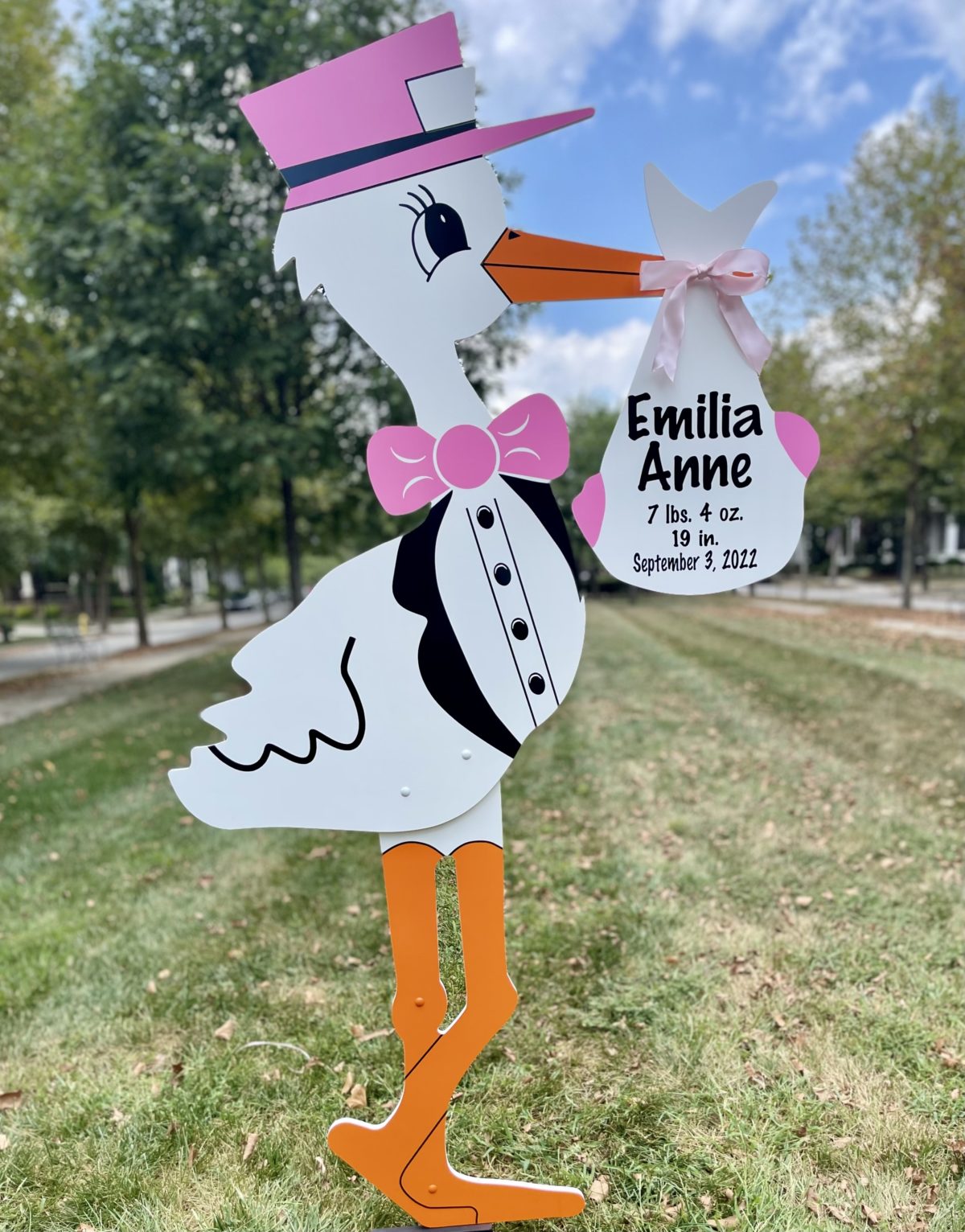 Pink or Blue Stork Rental - Personalized Bundle - Image 3