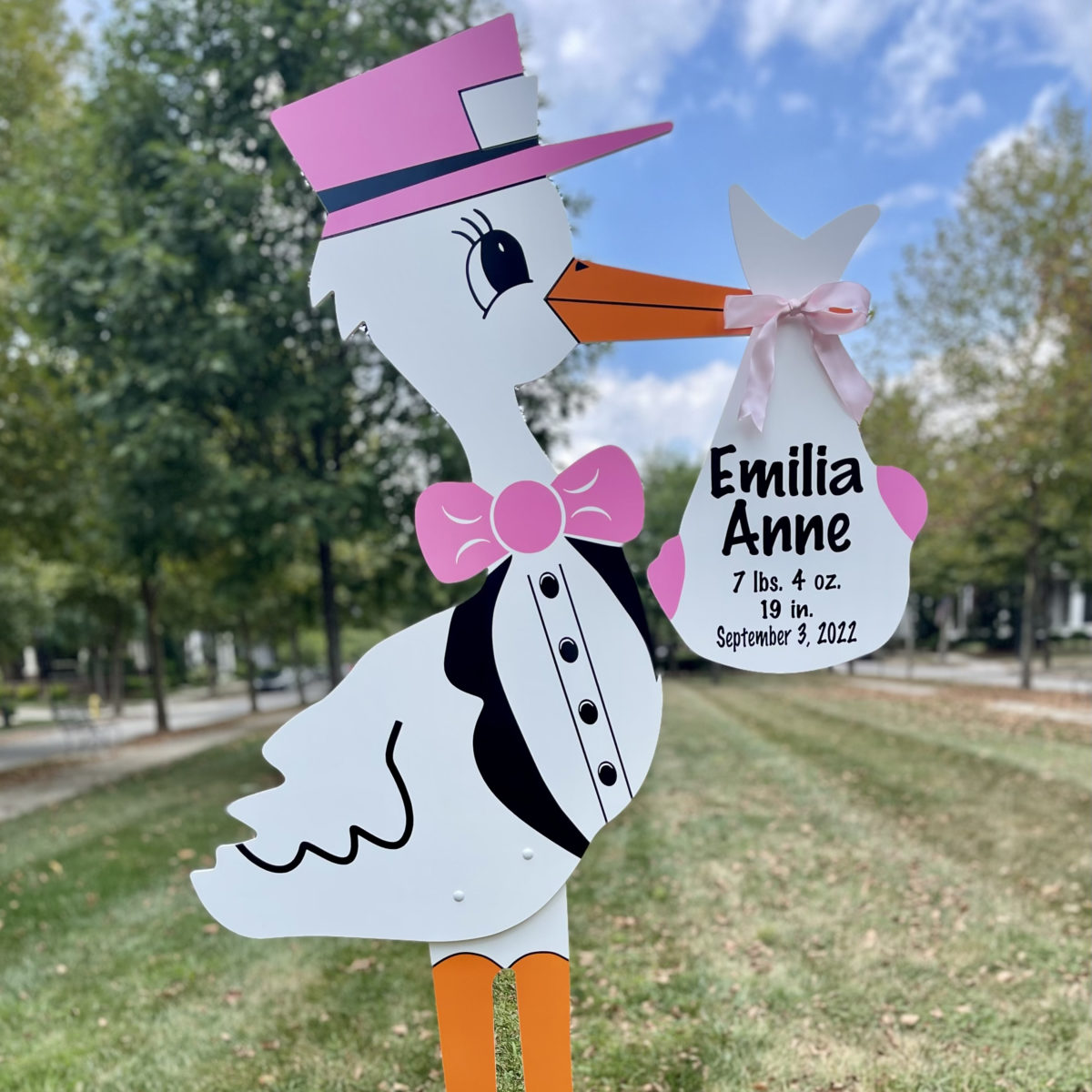 Pink or Blue Stork Rental - Personalized Bundle